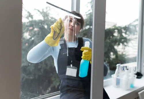 Nettoyage de vitres intérieures et extérieures à Chitry